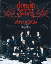 Stray Kids: The dominATE Experience
